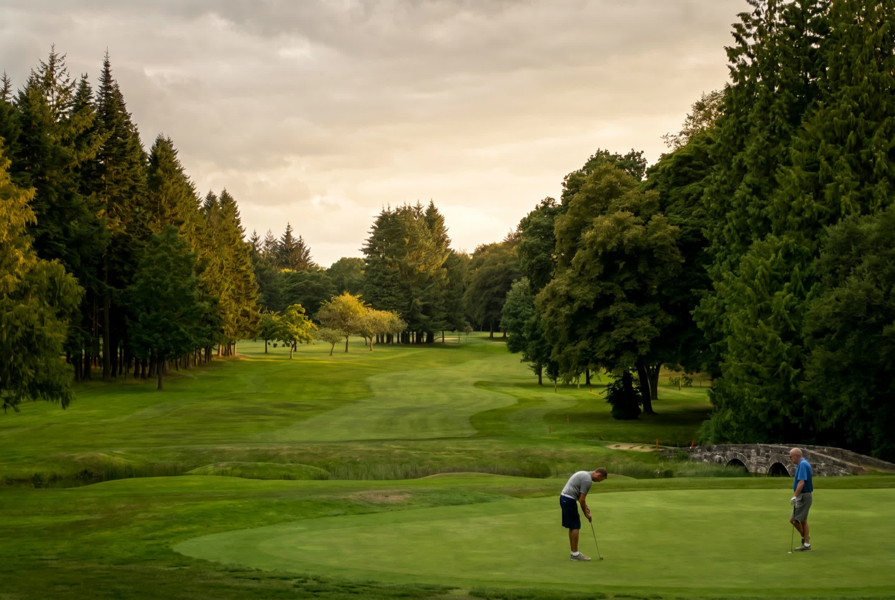 The parkland course at Downfield