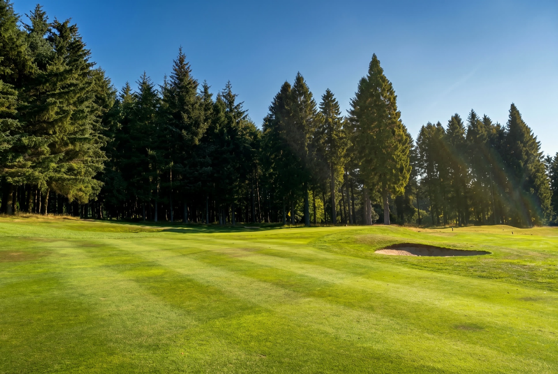 The course